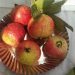 Allahabad Surkha Guava