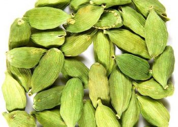 Alleppey Green Cardamom