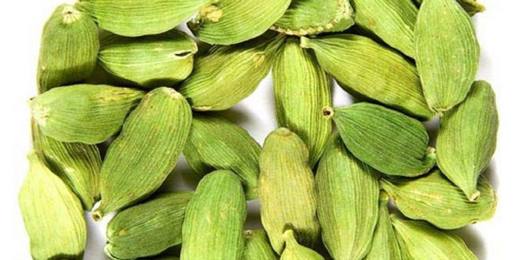 Alleppey Green Cardamom