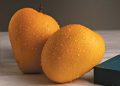 Alphonso