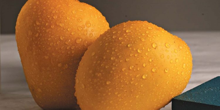 Alphonso