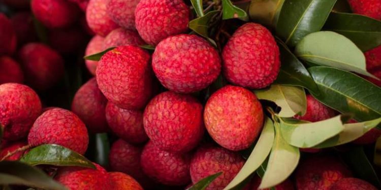 Tezpur Litchi