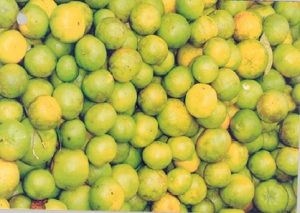 Coorg Orange