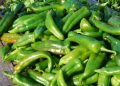 Edayur Chilli