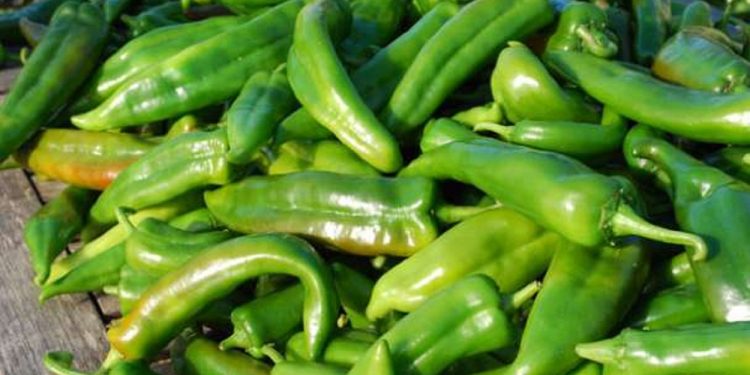 Edayur Chilli