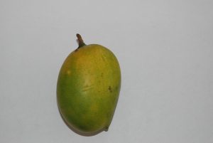 Gir Kesar Mango