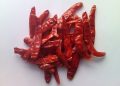 Guntur Sannam Chilli