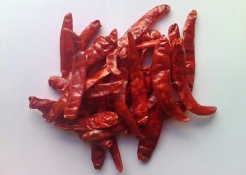 Guntur Sannam Chilli