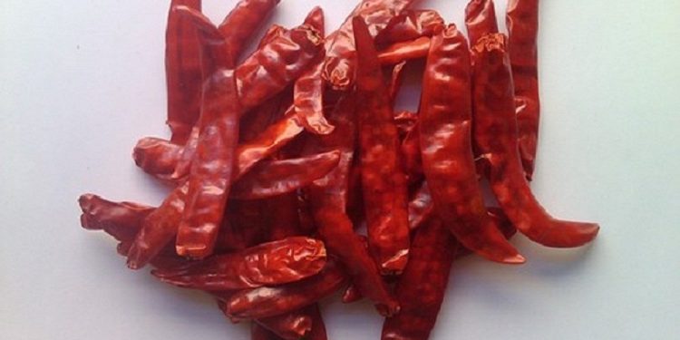 Guntur Sannam Chilli