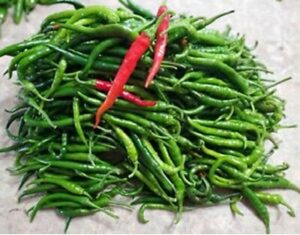 Guntur Sannam Chilli