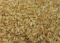 Kaipad Rice