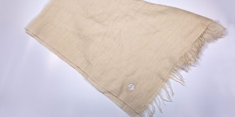 Kashmir Pashmina