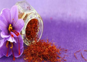 Kashmir Saffron