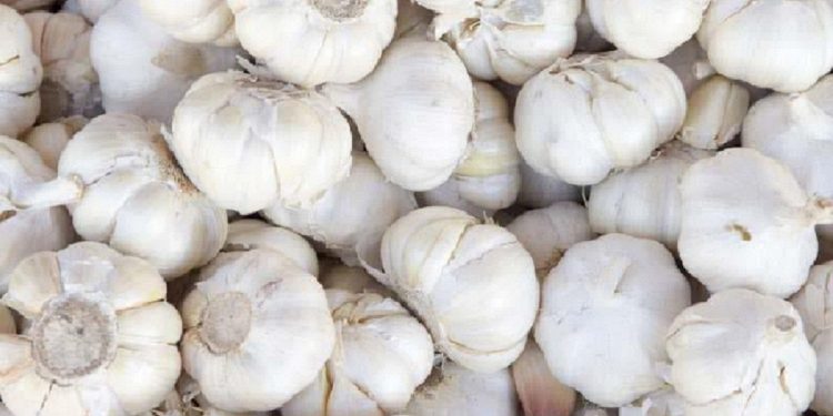 Kodaikanal Malai Poondu