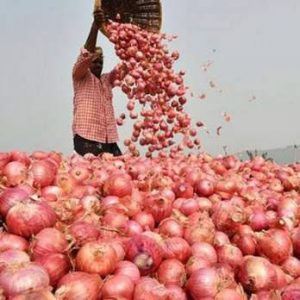 Lasalgaon Onion