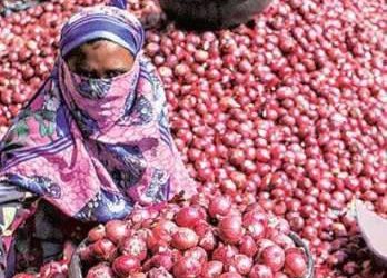 Lasalgaon Onion