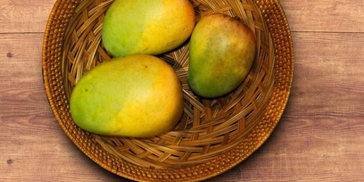 Marathwada Kesar Mango