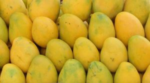 Malda Laxman Bhog Mango