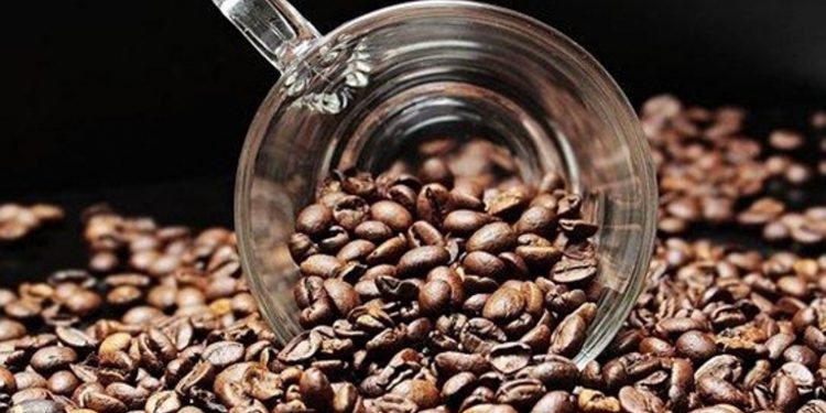 Mansooned Malabar Arabica Coffee