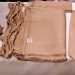 Muga Silk of Assam