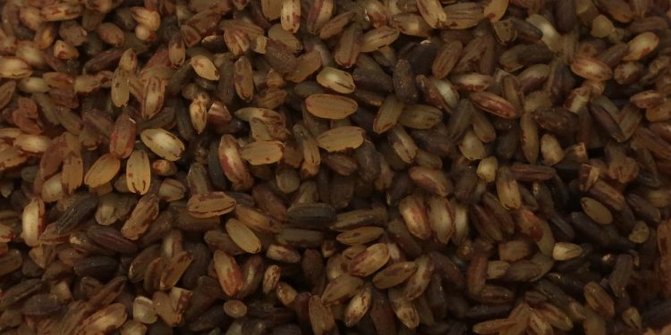 Pokkali Rice