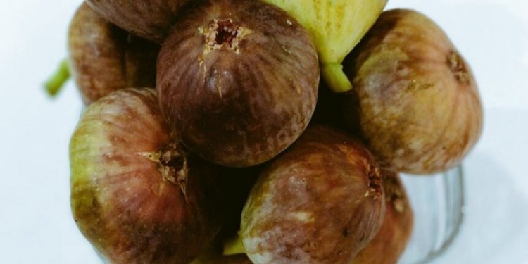 Purandar Fig