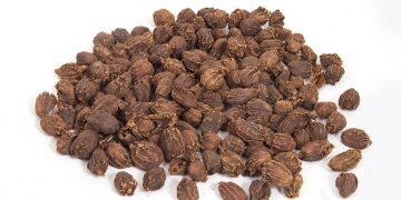 Sikkim Large Cardamom