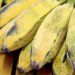 Sirumalai Hill Banana