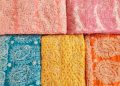 Lucknow Chikan Craft