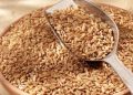 Bhalia Wheat