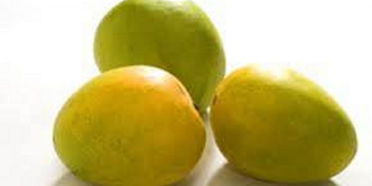 Kuttiattoor Mango (Kuttiattoor Manga)