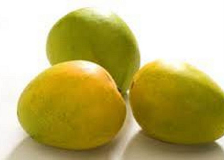 Kuttiattoor Mango (Kuttiattoor Manga)