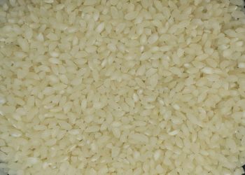 Wayanad Gandhakasala Rice