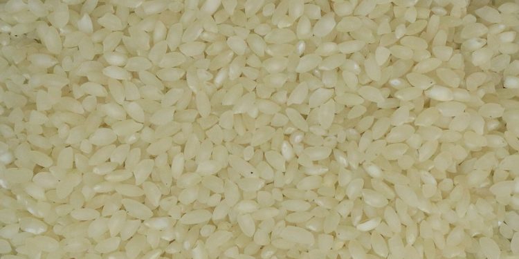 Wayanad Gandhakasala Rice